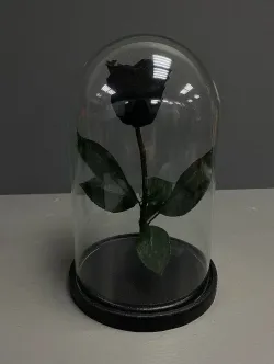 Вечная роза в колбе черная