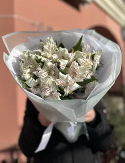 7 шт. Белая Альстромерия