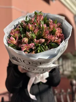 15 шт. Розовая Альстромерия