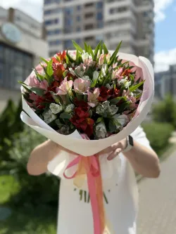25 шт. Альстромерия микс