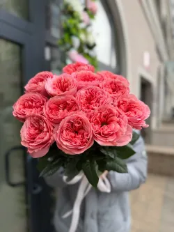 Пионовидная роза Кэнди Экпрешен