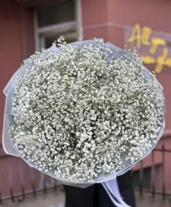 21 ветка белой гипсофилы