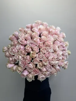 Нежно-розовая роза Pink Mondial 101 шт.