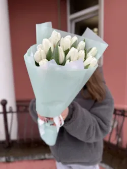 15 белых тюльпанов