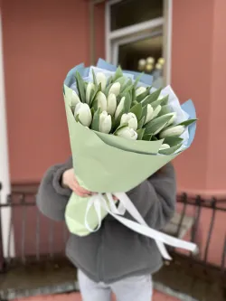 25 белых тюльпанов
