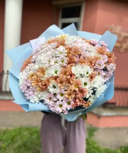 301 микс ромашка