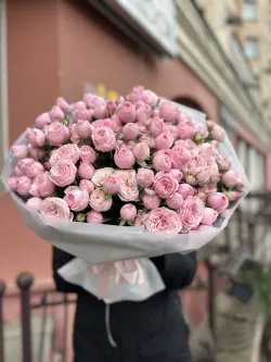 25 веток пионовидных кустовых роз Мэнсфилд Парк Пинк (Mansfield Park Pink)