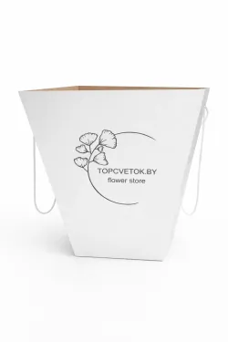 Переноска