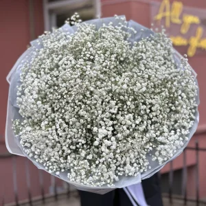 21 ветка белой гипсофилы