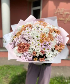 401 микс ромашка