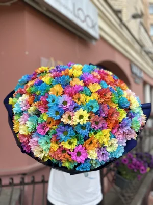 401 радужная ромашка