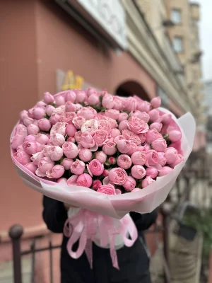 35 веток пионовидных кустовых роз Мэнсфилд Парк Пинк (Mansfield Park Pink)