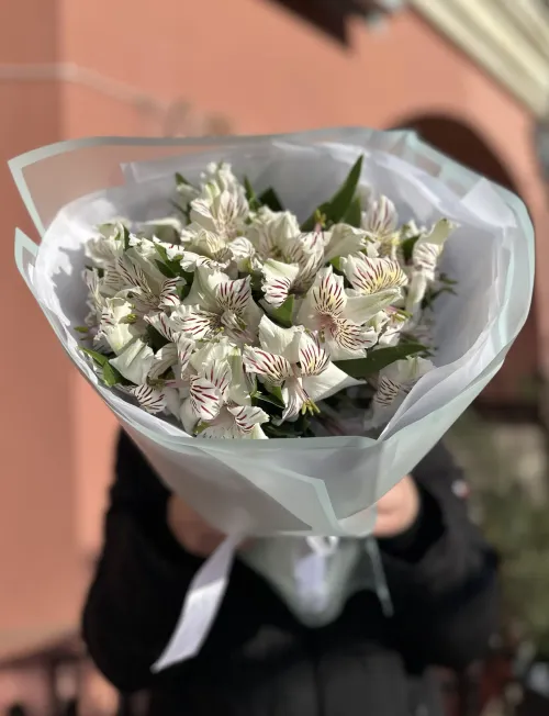 7 шт. Белая Альстромерия