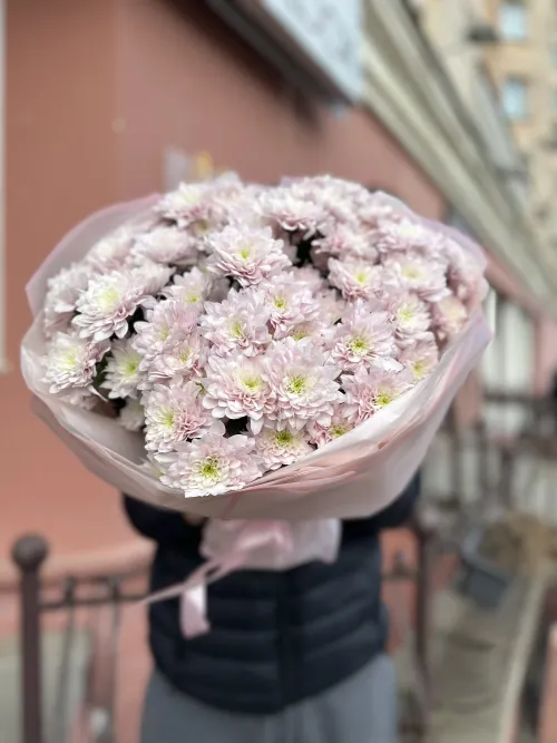 11 веток Хризантем Пастела Бланш
