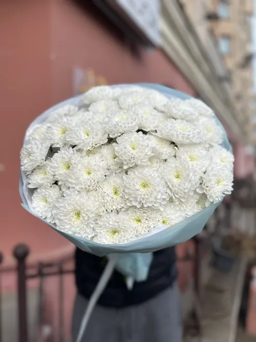 25 веток Хризантем Алтай