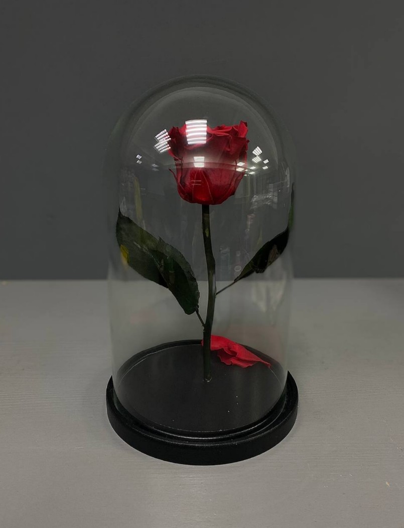Вечная роза в колбе красная