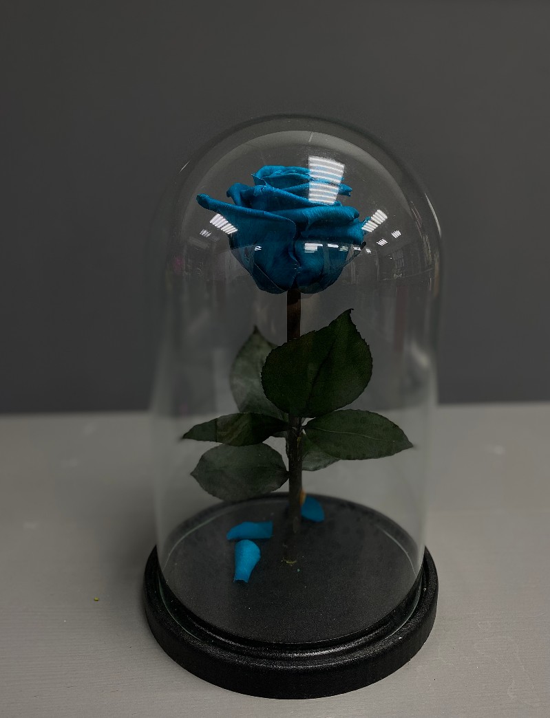 Вечная роза в колбе синяя