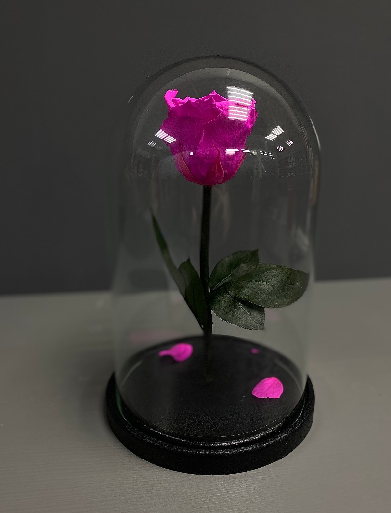 Вечная роза в колбе ярко-розовая