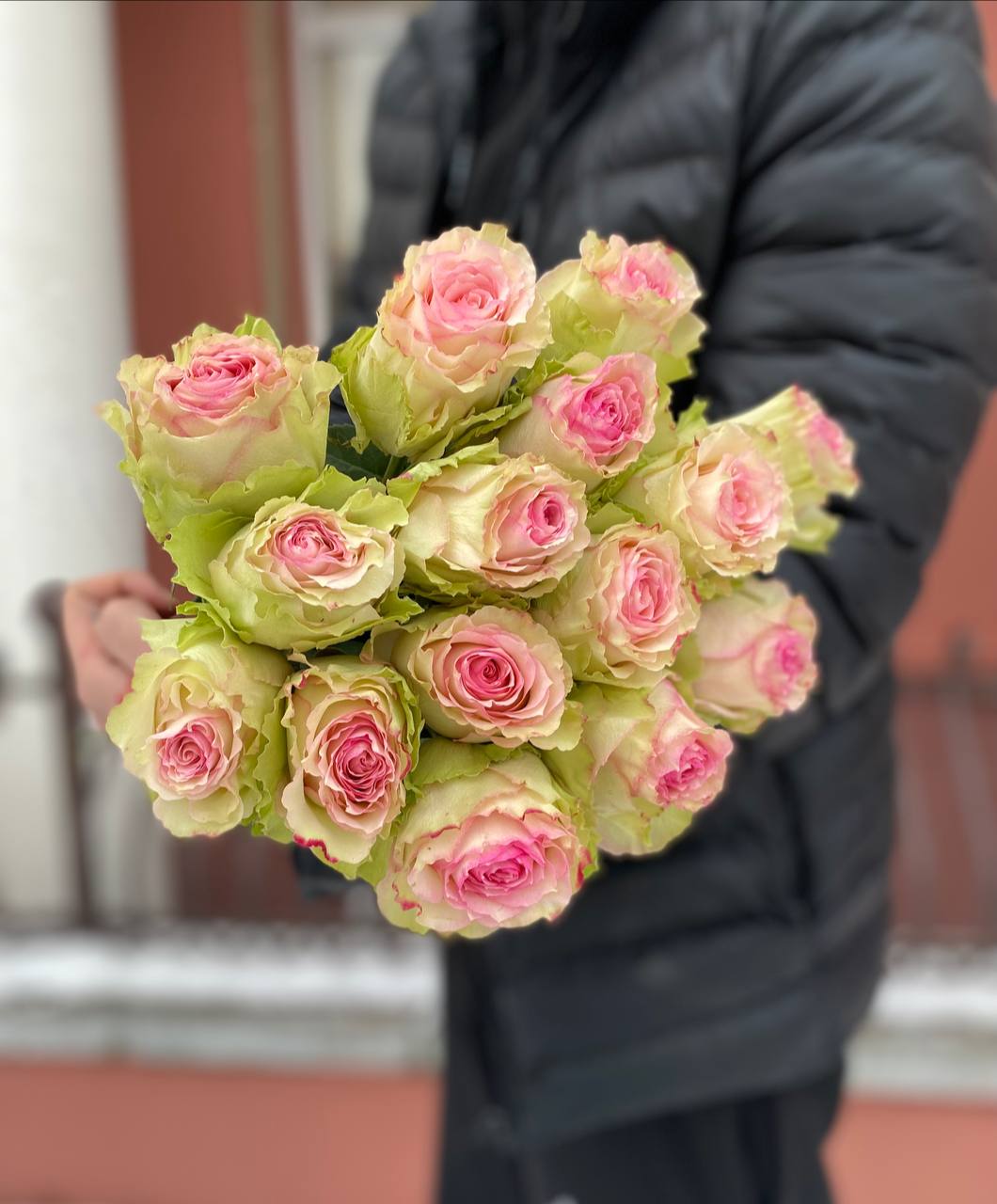 Кремово-розовая роза Esperance 15 шт.