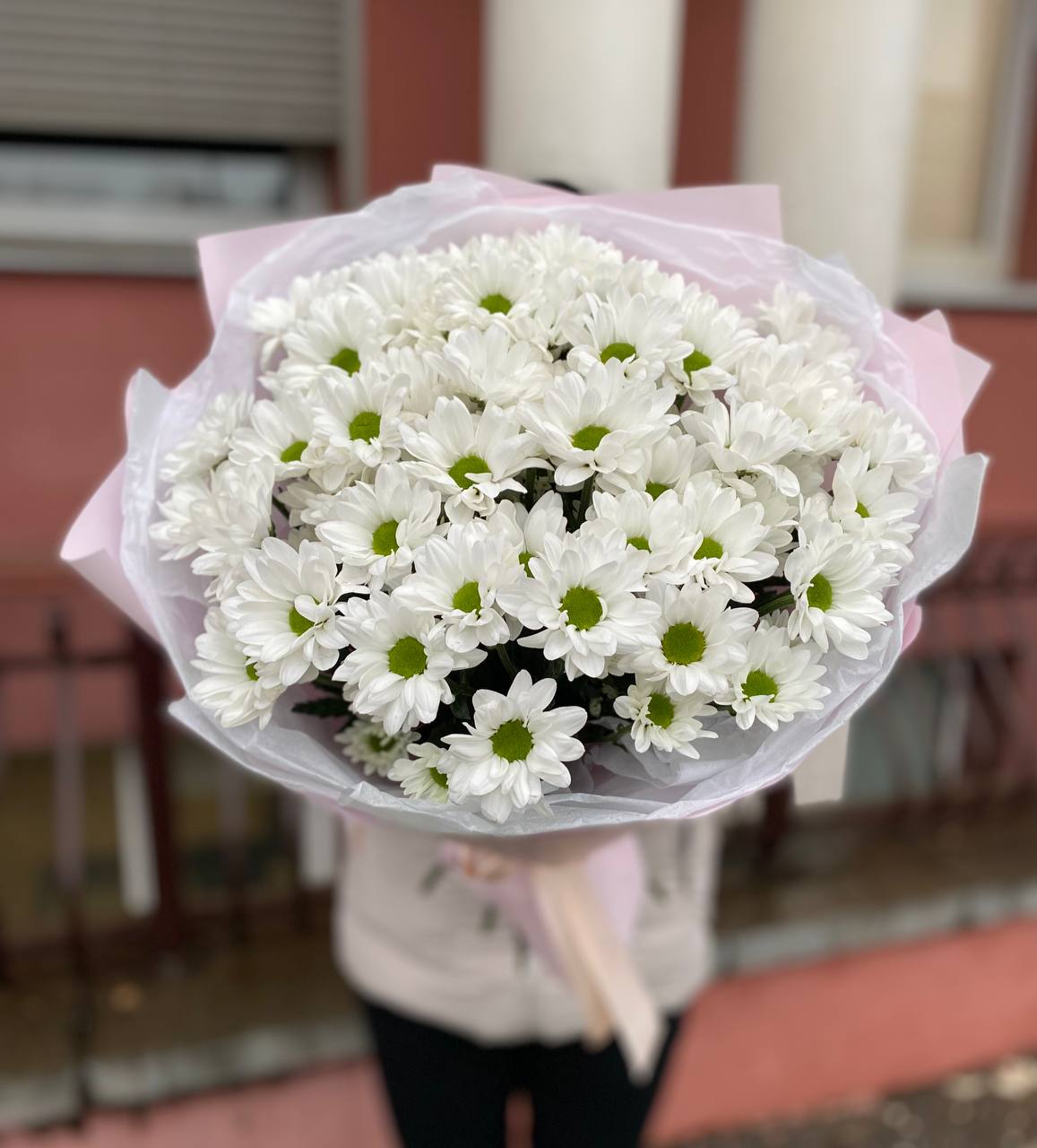 101 белая ромашка