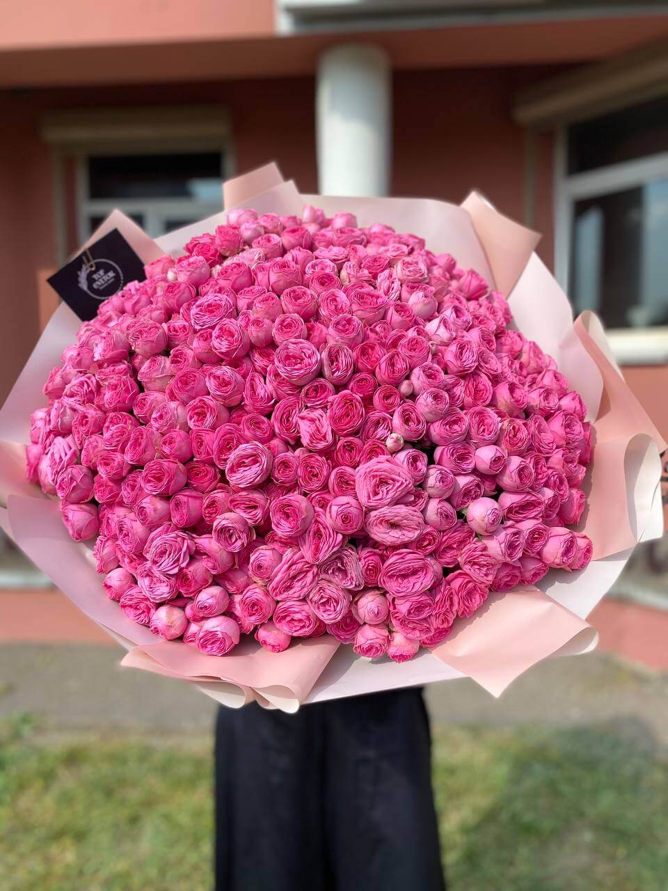 101 ветка пионовидных кустовых роз Жизель (Giselle)