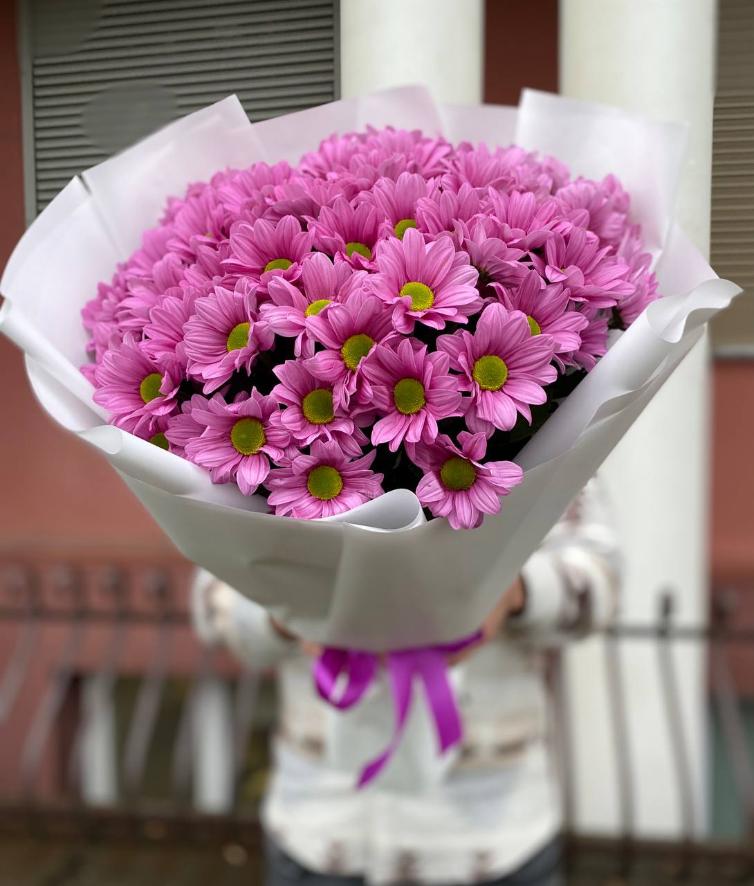 101 малиновая ромашка