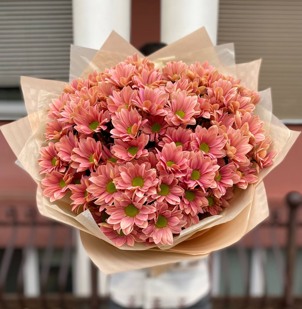 101 медовая ромашка