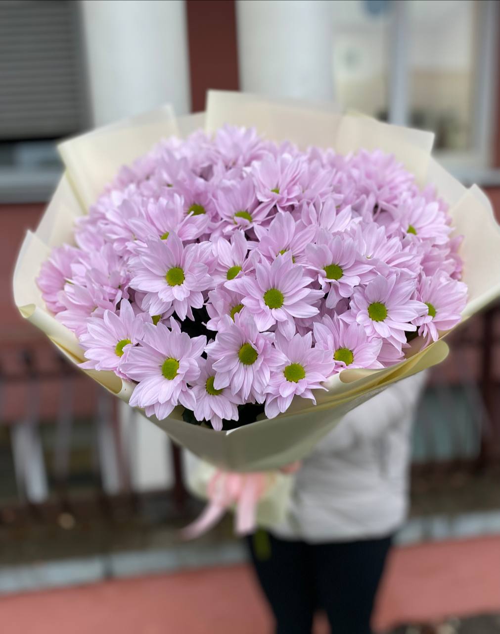 101 нежно-розовая ромашка