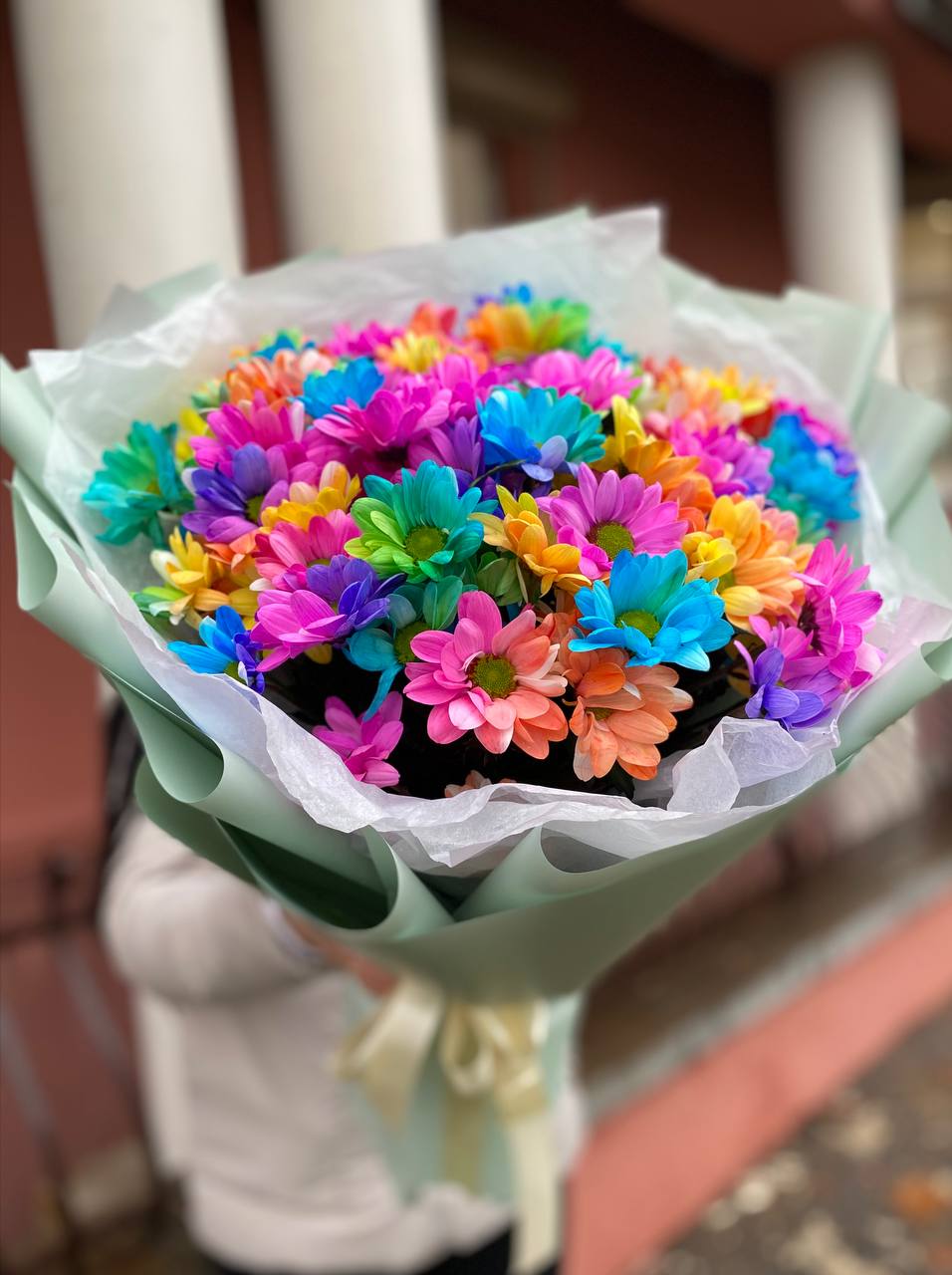 101 радужная ромашка