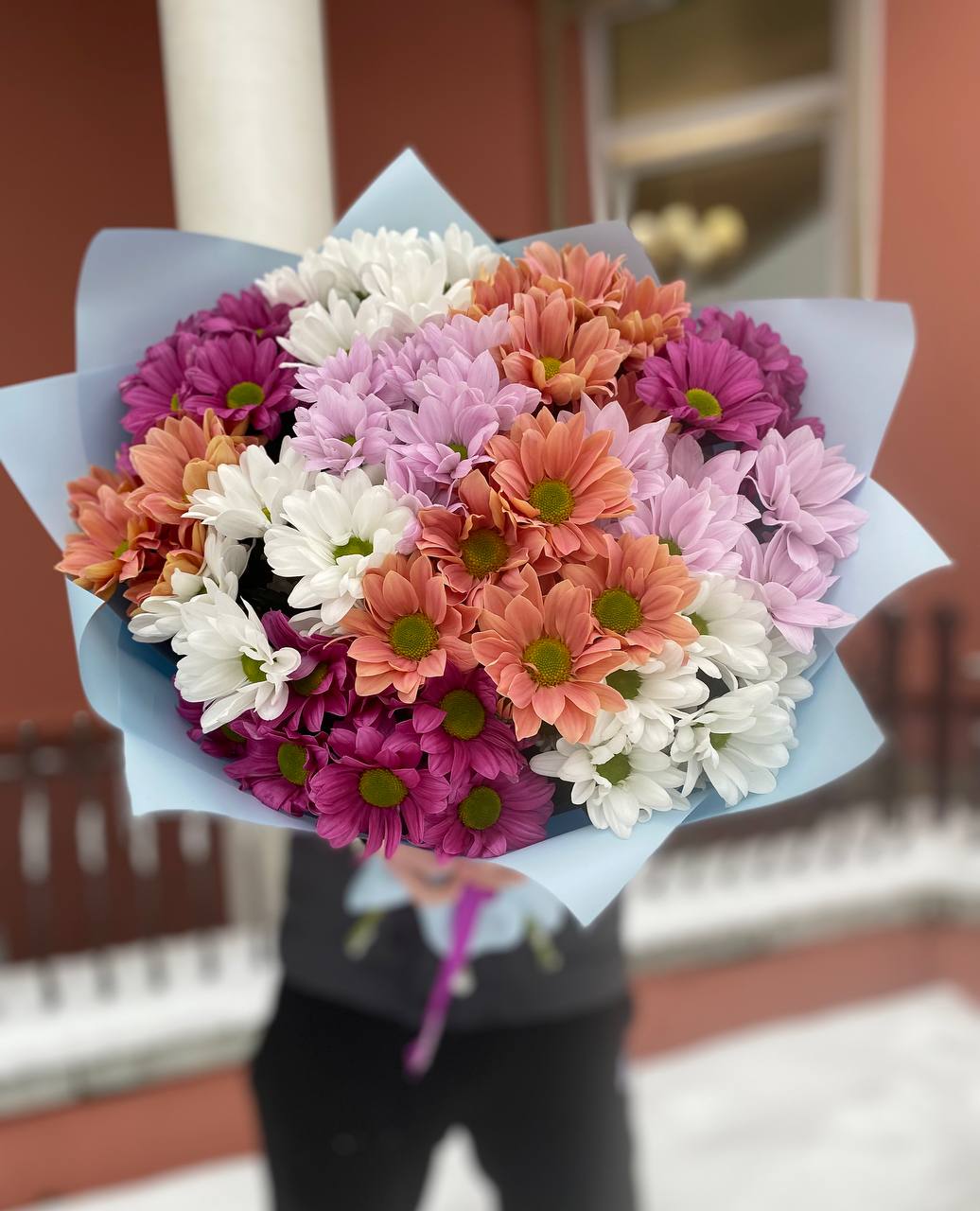 101 ромашка микс