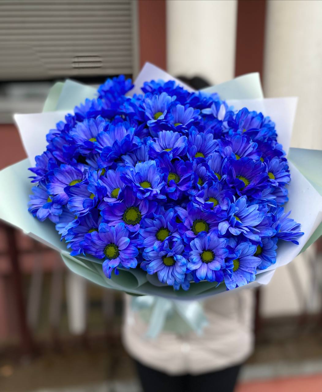 101 синяя ромашка