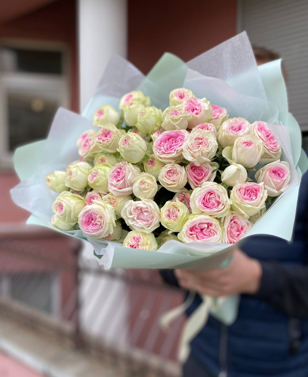 11 веток пионовидных кустовых роз Джелато (Gelato)