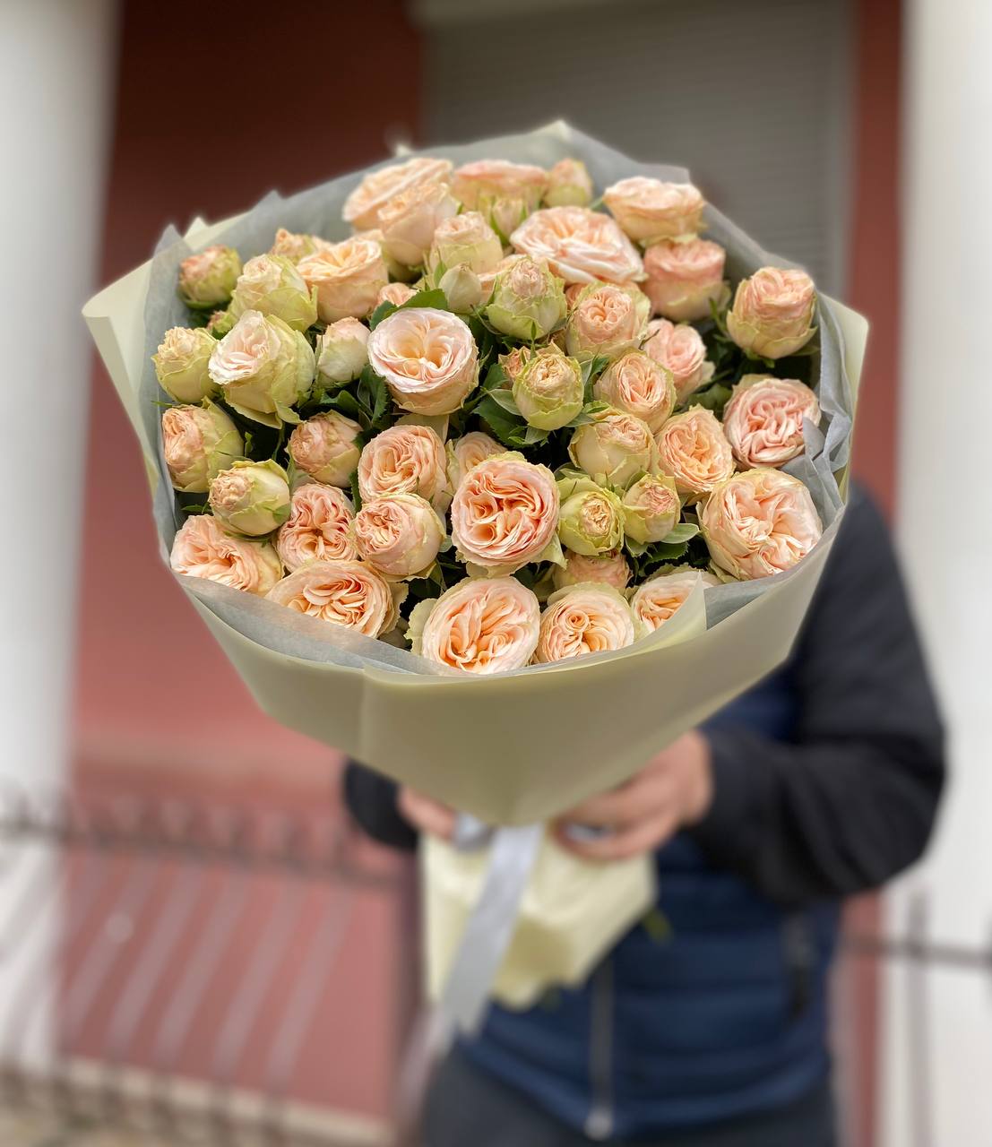 11 веток пионовидных кустовых роз Джентл (Gentle)