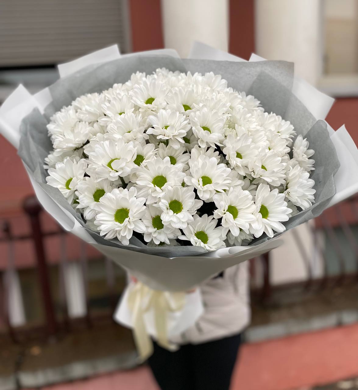 151 белая ромашка