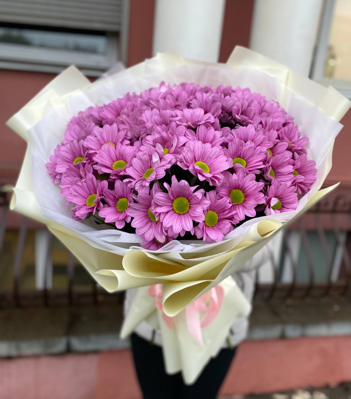 151 малиновая ромашка