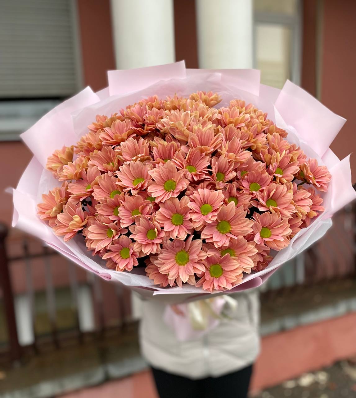 151 медовая ромашка