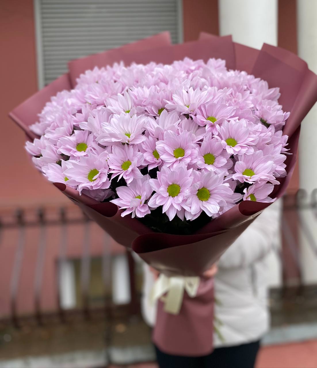 151 нежно-розовая ромашка