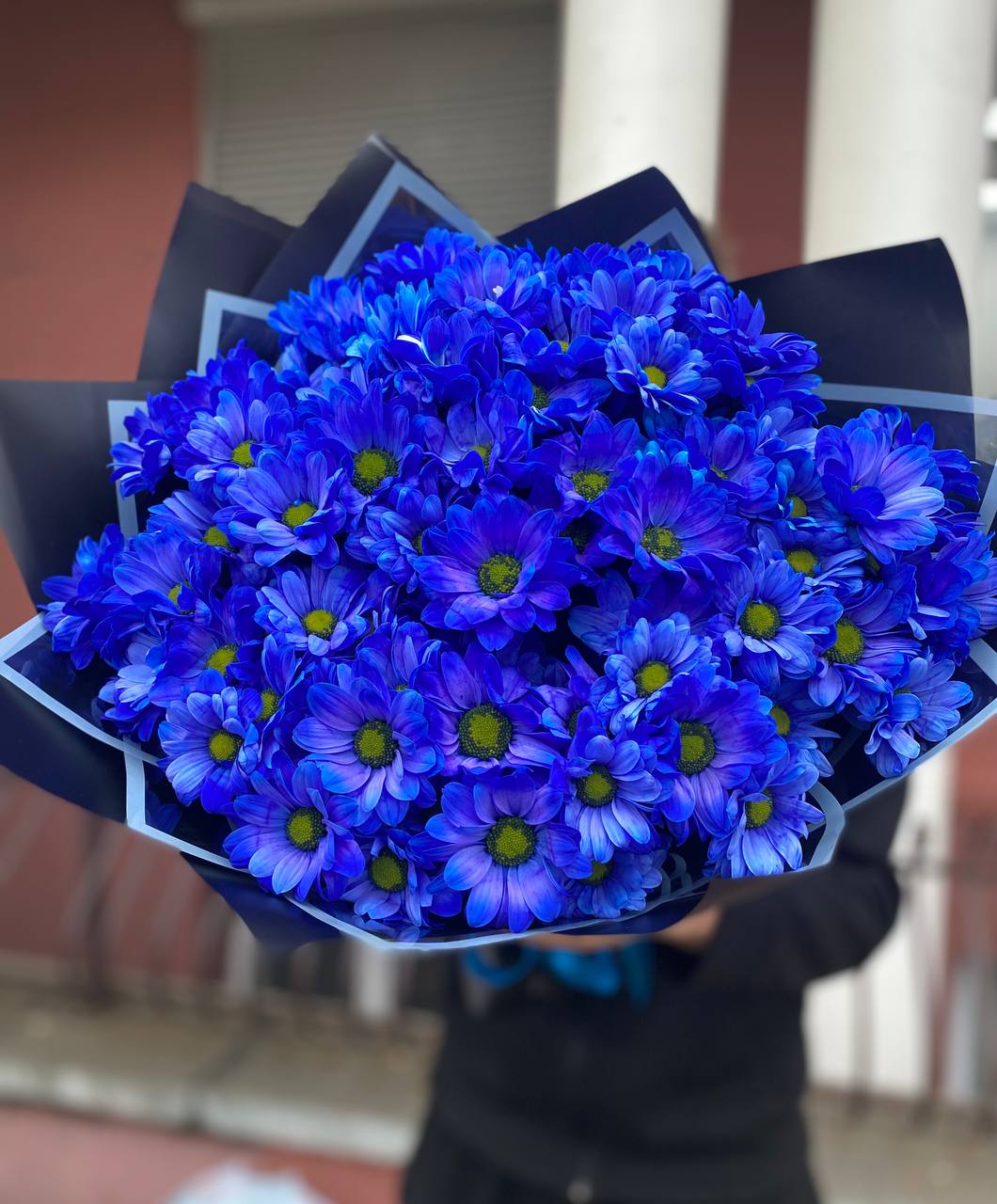 151 синяя ромашка