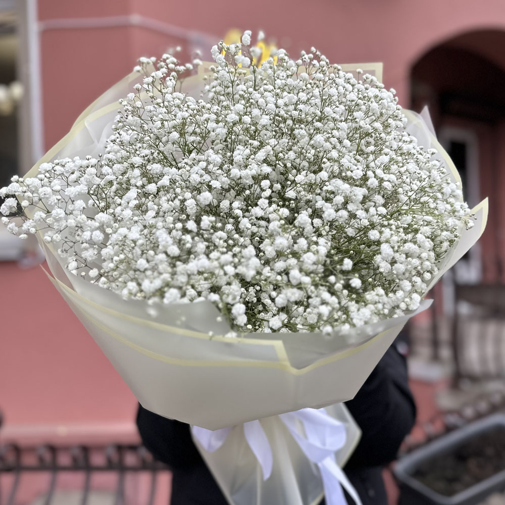 15 веток белой гипсофилы