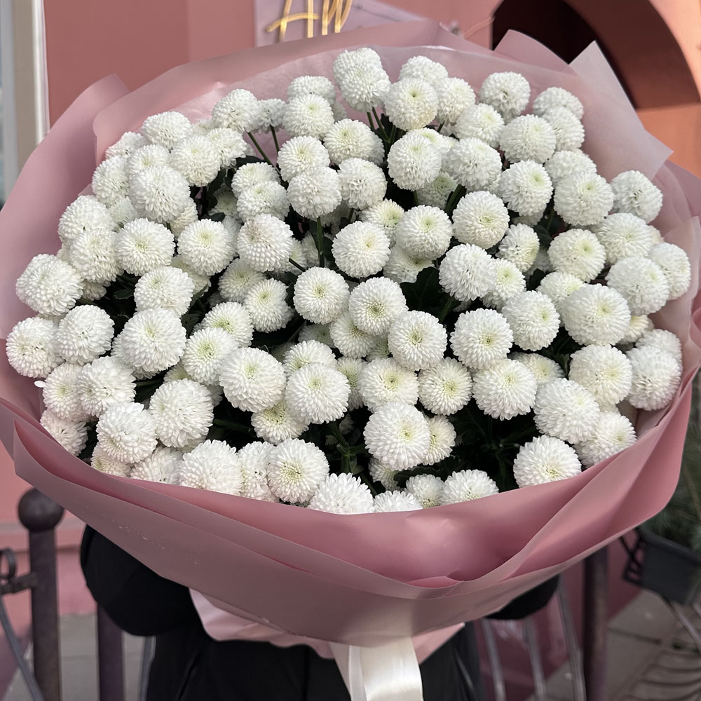 15 веток белой хризантемы Ньютон