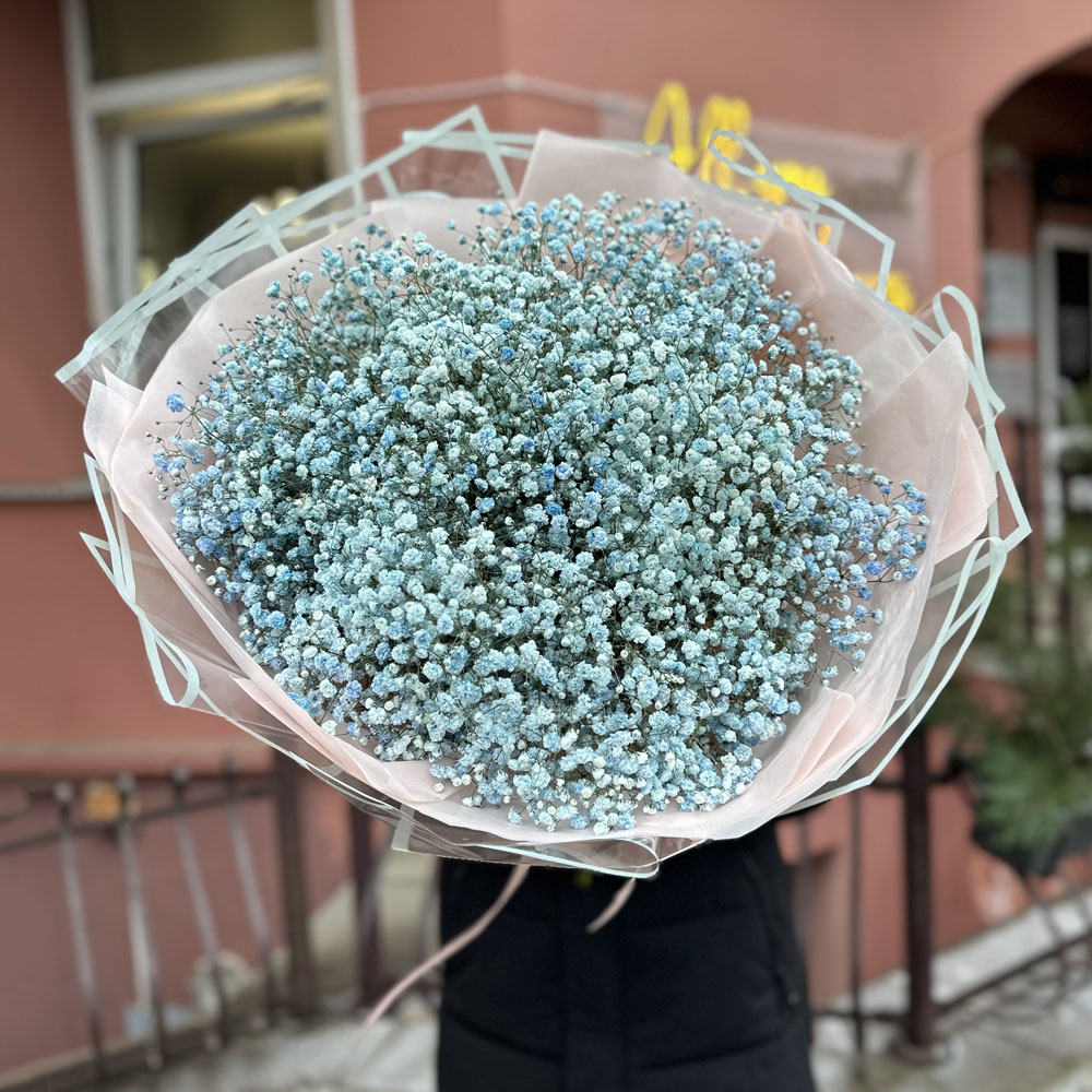 15 веток голубой гипсофилы