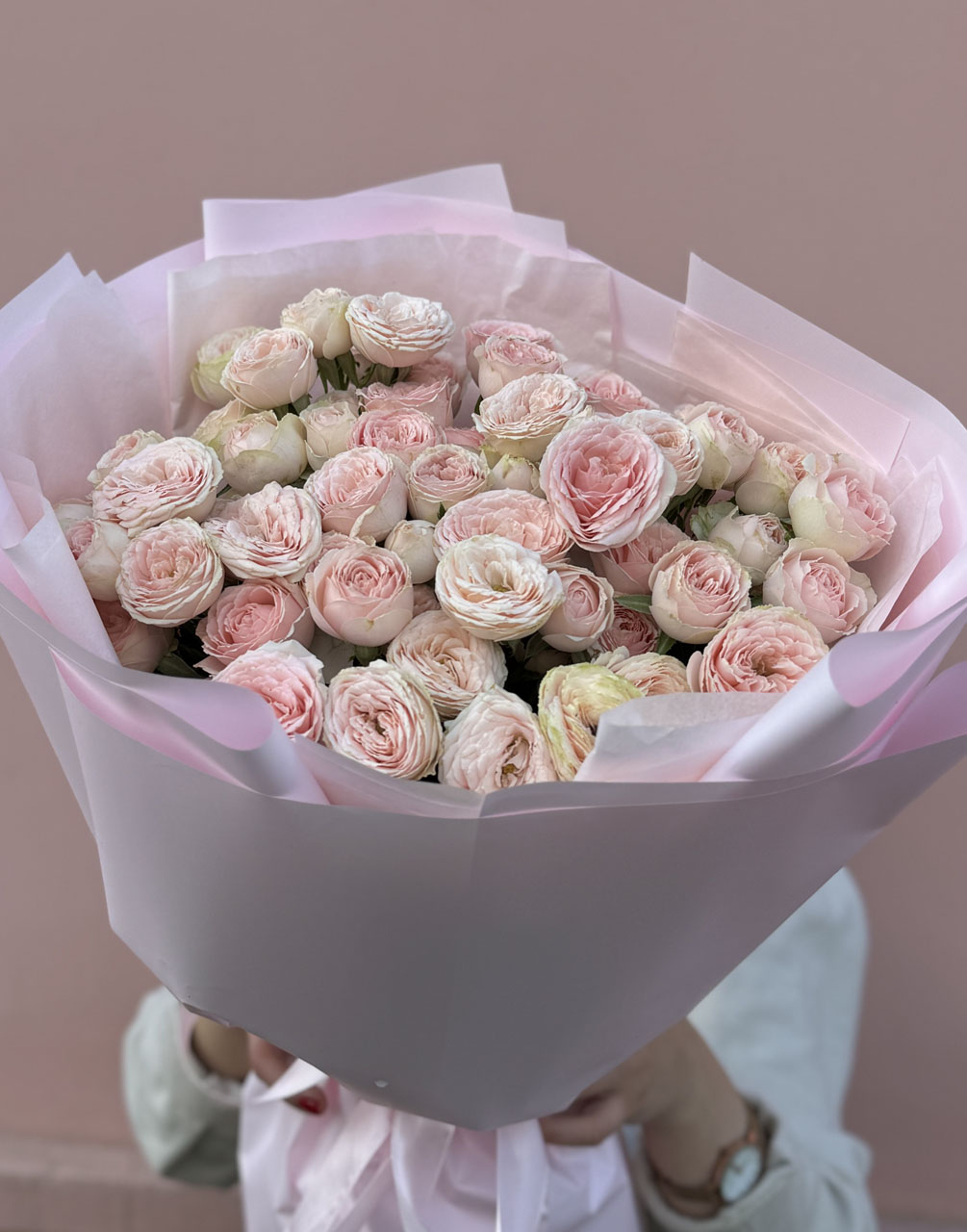 15 веток пионовидных кустовых роз Свит Жизель (Sweet Giselle)