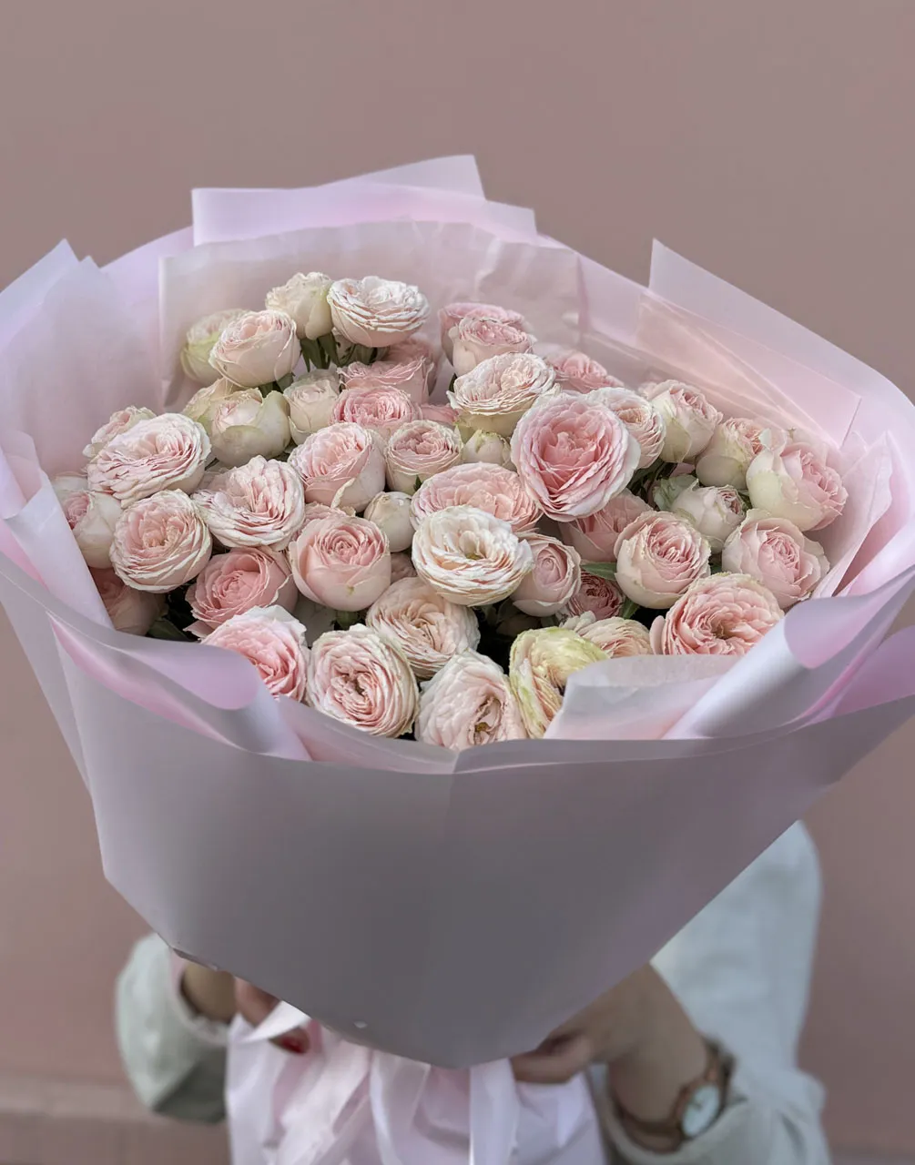 15 веток пионовидных кустовых роз Свит Жизель (Sweet Giselle)