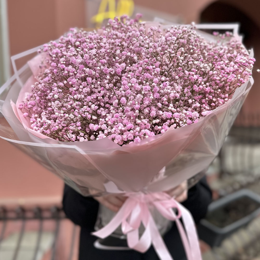 15 веток розовой гипсофилы