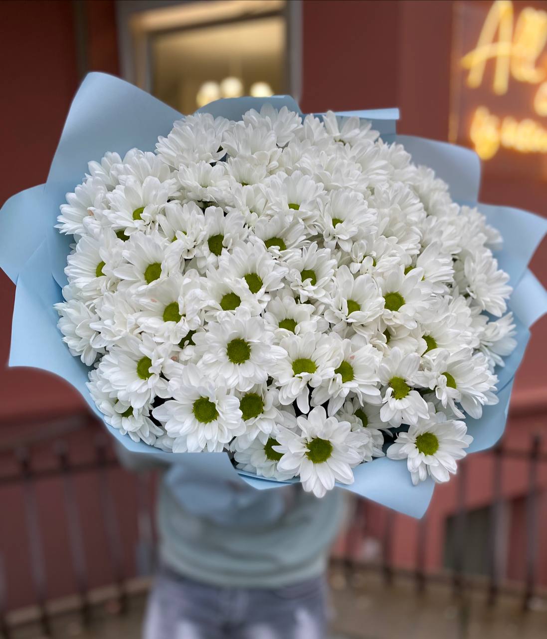 201 белая ромашка