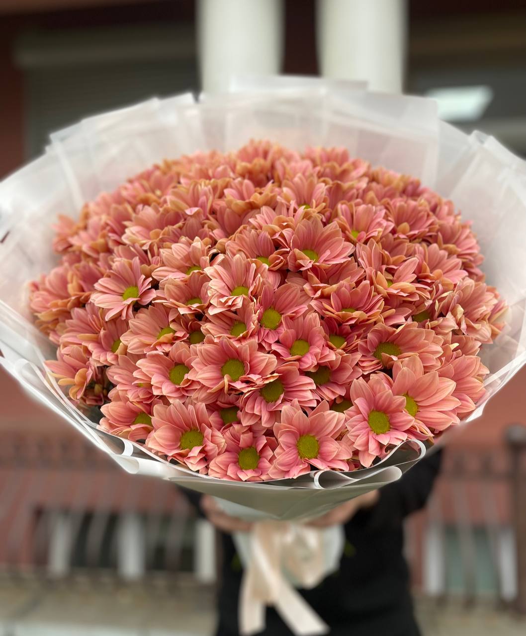 201 медовая ромашка