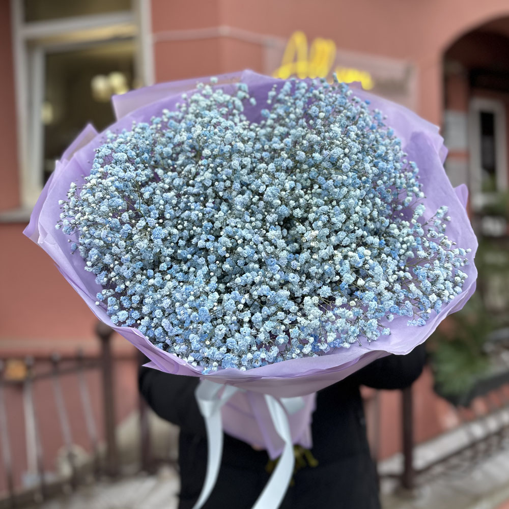 21 ветка голубой гипсофилы