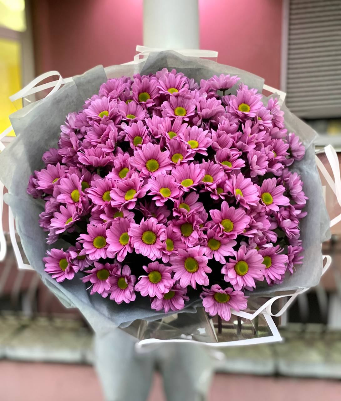 251 малиновая ромашка