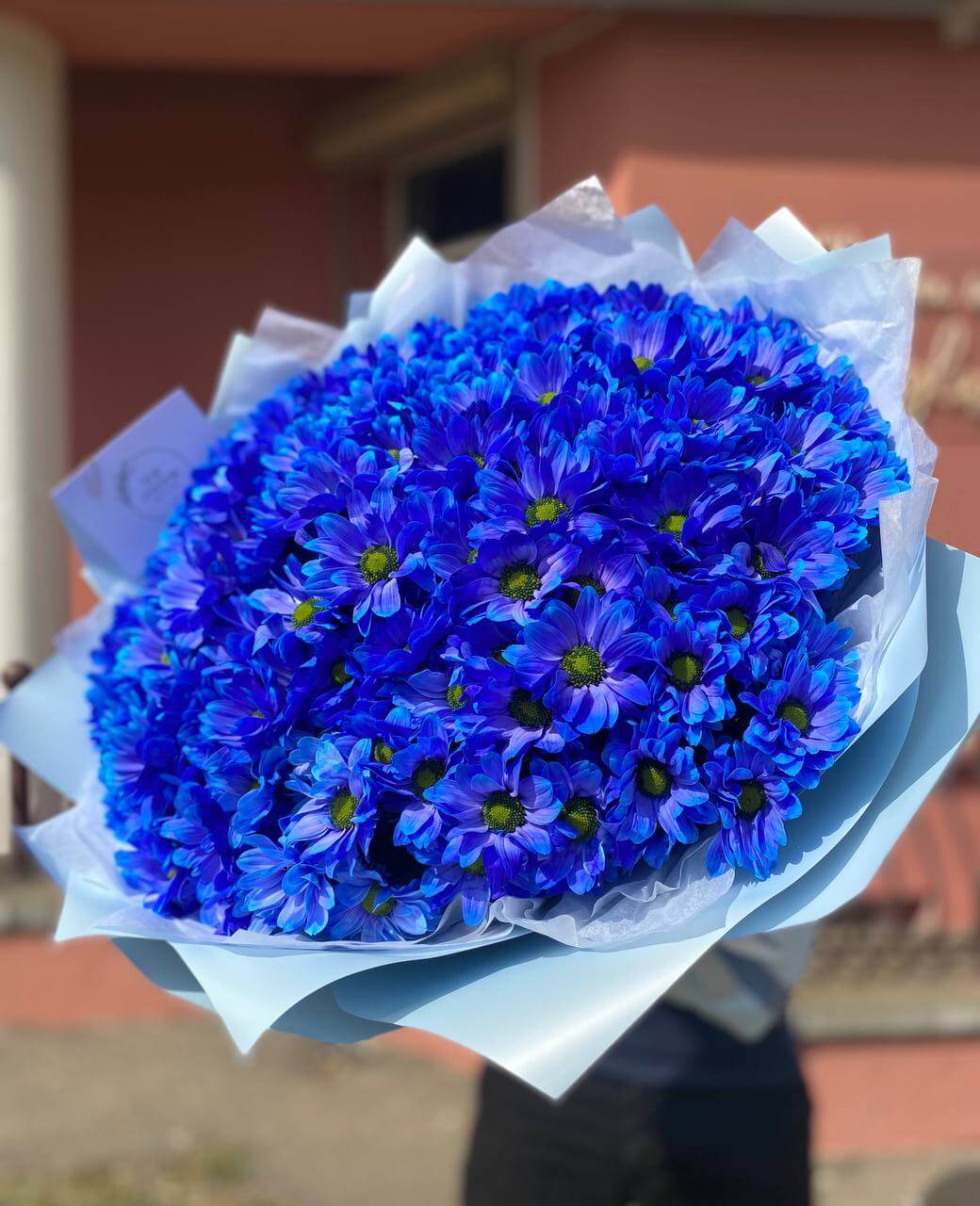 251 синяя ромашка