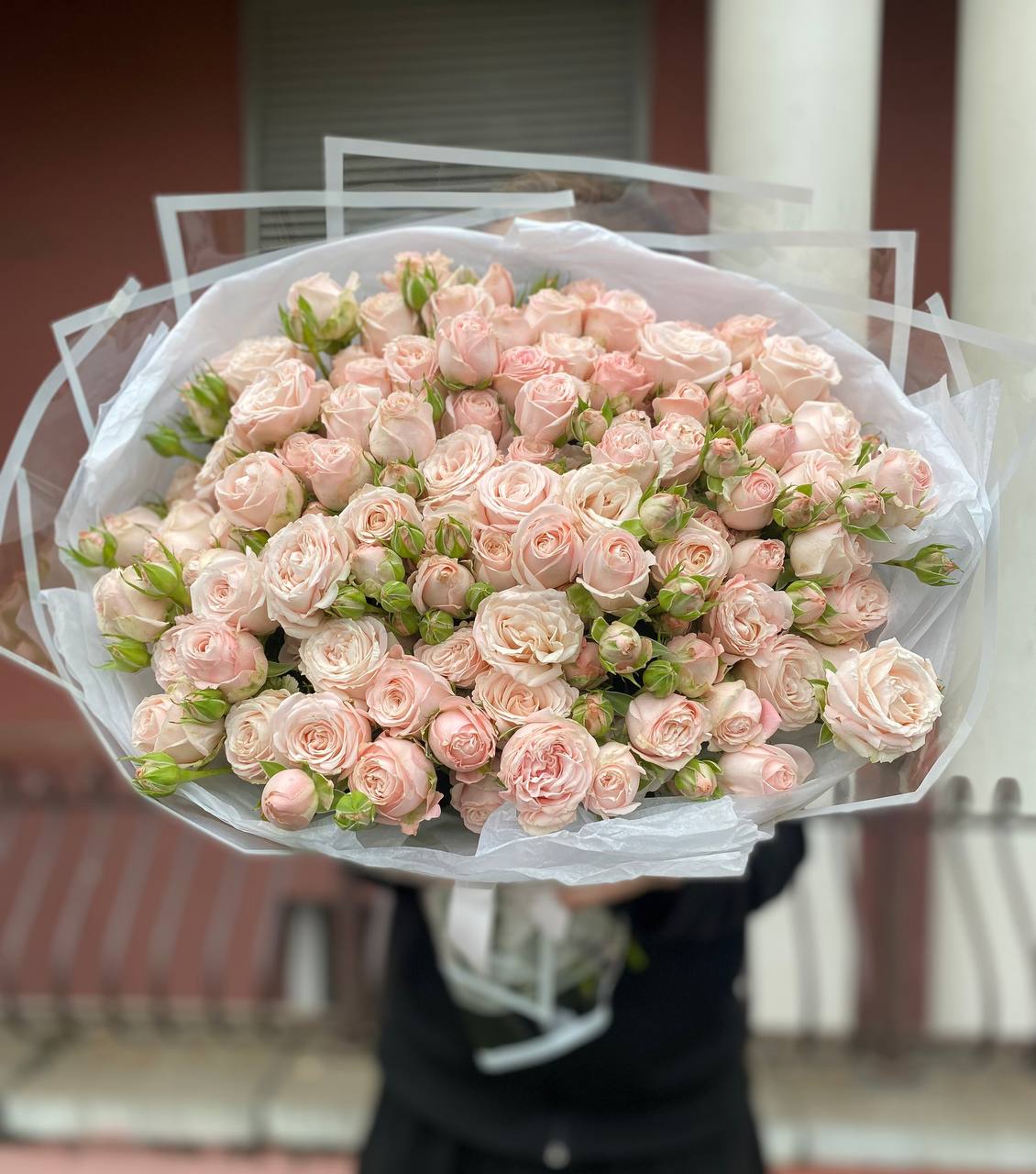 25 веток пионовидных кустовых роз Бомбастик (Bombastic)